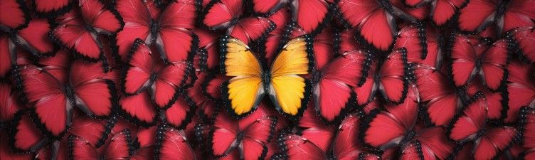 Embracing Authenticity in the Workplace