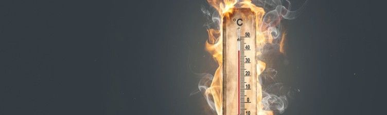 Heat Check: A Quick Tip for Gauging the Room During Training Sessions