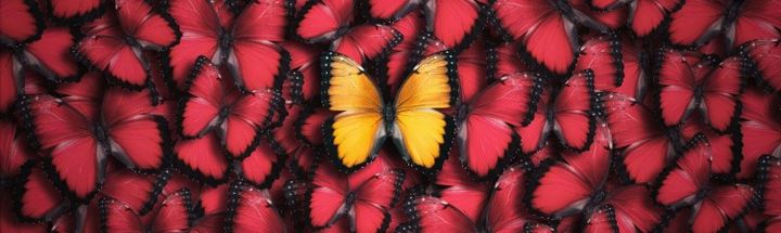 Embracing Authenticity in the Workplace